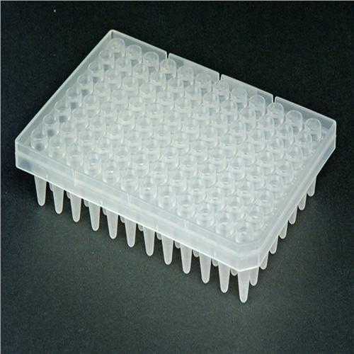 Axygen Well Polypropylene Segmented Pcr Microplate Clear Nonsterile