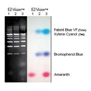 Agarose Gel Loading Dye Recipe Blog Dandk