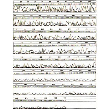 Roche Restriction Enzymes Buffer Chart