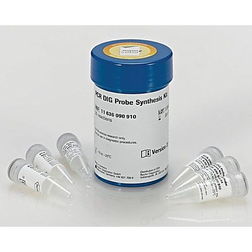 ROCHE PCR DIG Probe Synthesis Kit