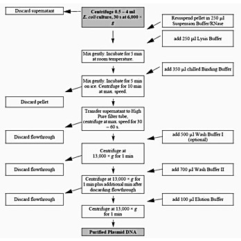 Roche Restriction Enzymes Buffer Chart