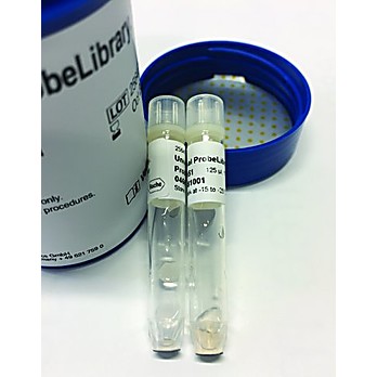 ROCHE Universal ProbeLibrary, Probes 61 to 70