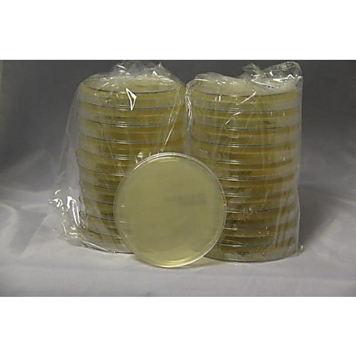 Tryptic Soy Agar