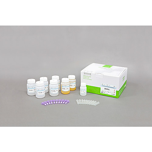 Accuprep® Pcr Gel Purification Kit